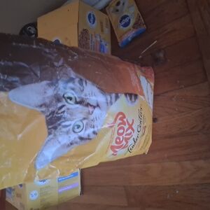 Grey and White Cat with Unique Fur Patterns